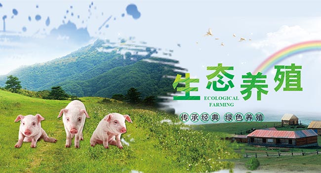 有催情的香精——日韩精品欧美在线成人，情感与化学的微妙游戏