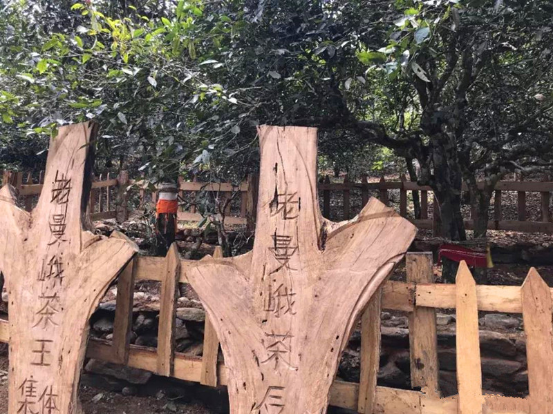 移轴镜头评价绝对真实偷窥女子会所私密av，解锁摄影新维度，探索视觉艺术的无限可能
